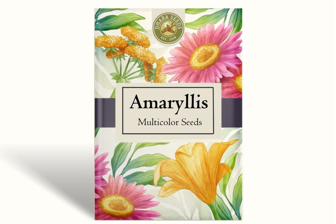 Amaryllis Seeds - Easy-Care Gold Wax with Multicolored Blooms