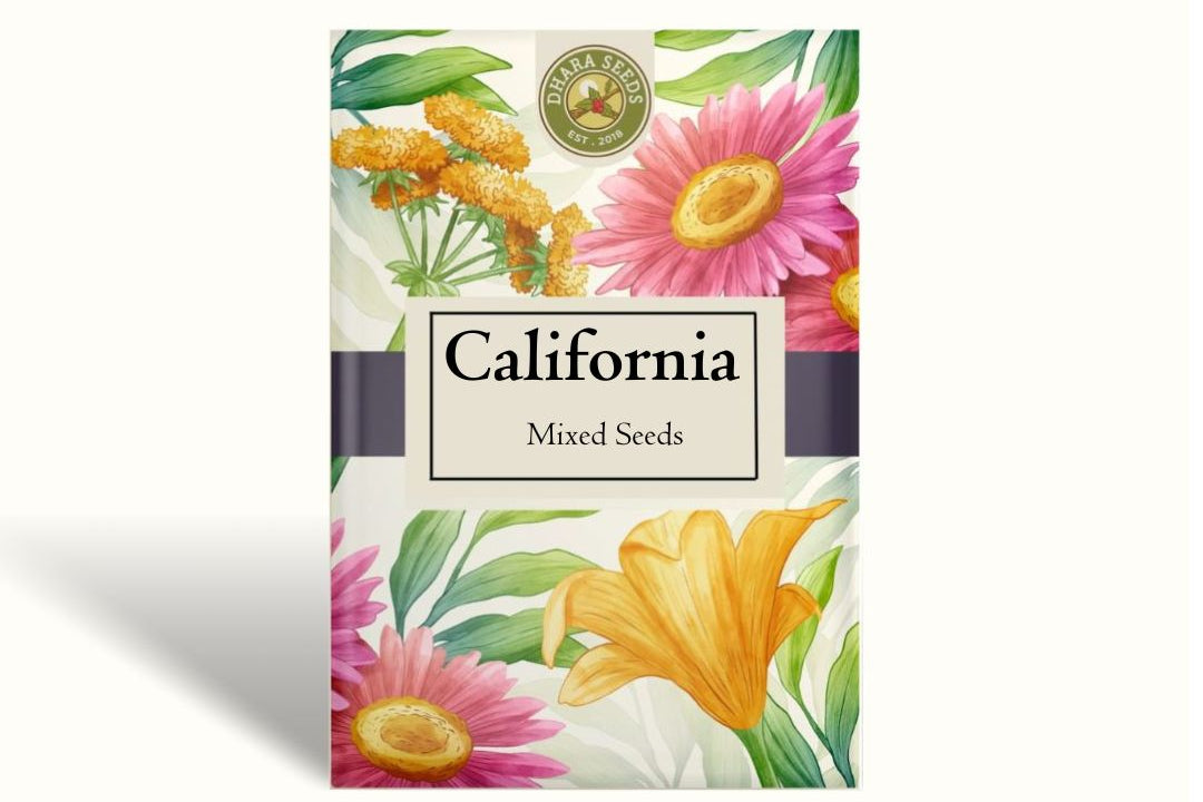 California Poppy Seeds (Organic) - Mixed Colors