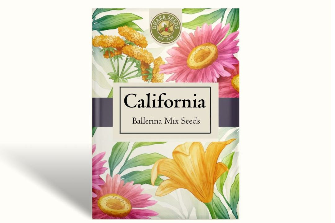 California Poppy Seeds - Ballerina Mix