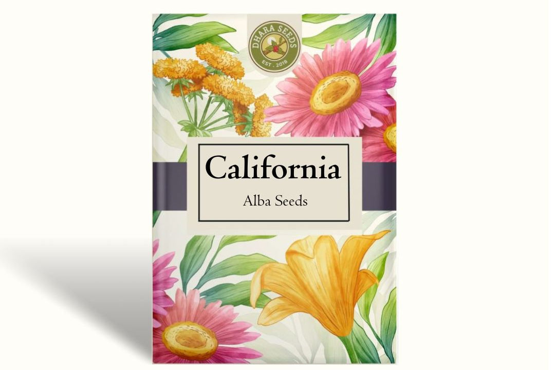 California Poppy Seeds - Alba