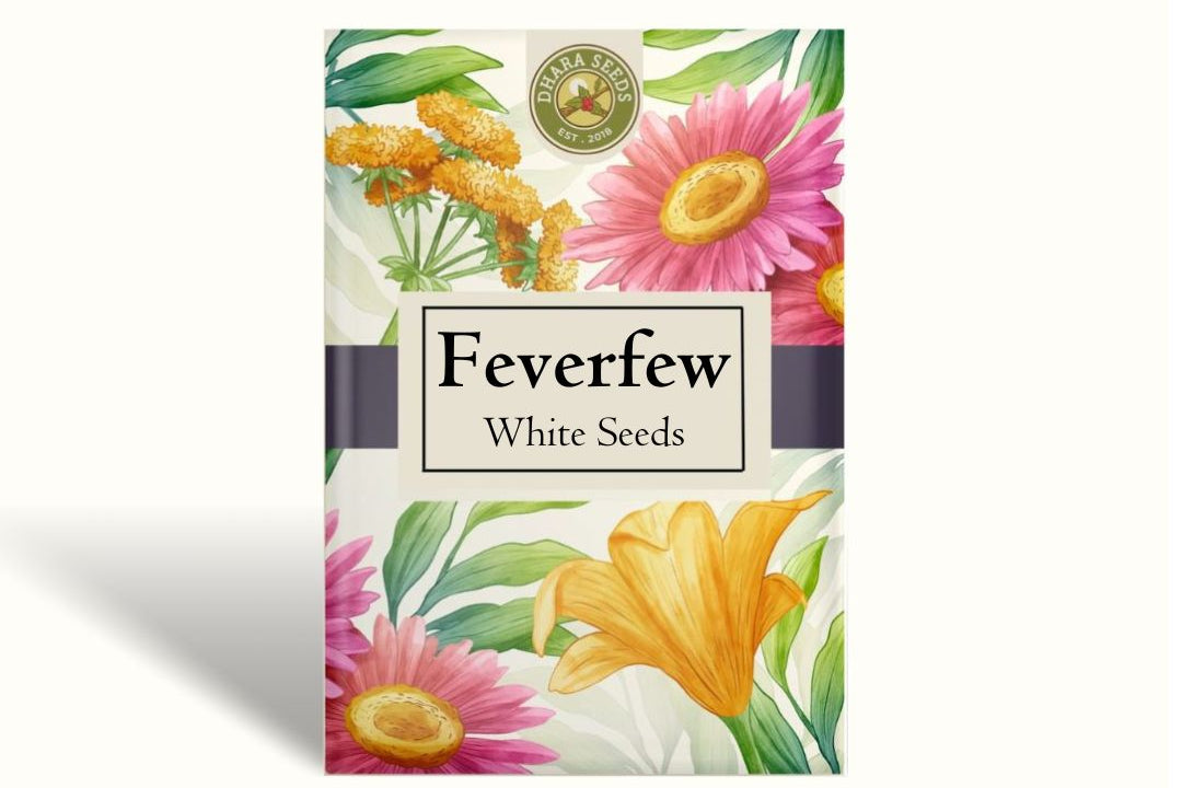 Feverfew White Stars Seeds