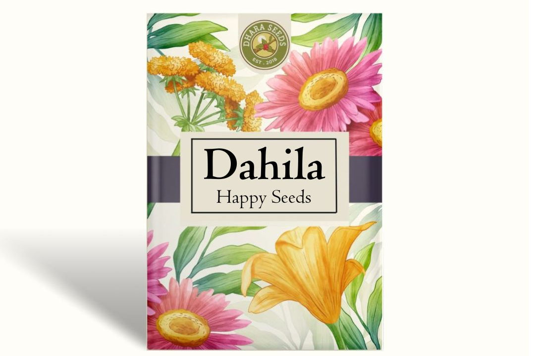 Dahlia Seeds - Dinnerplate Happy Mix