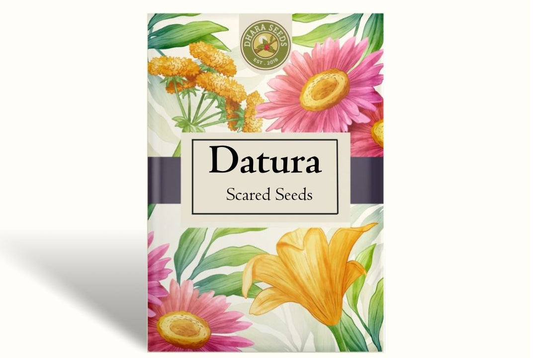 Datura - Sacred Organic Seeds