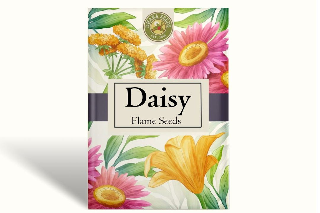 Daisy Seeds (Painted) - Flame