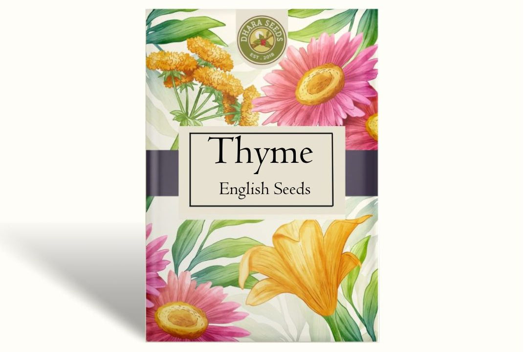 English Thyme Seeds