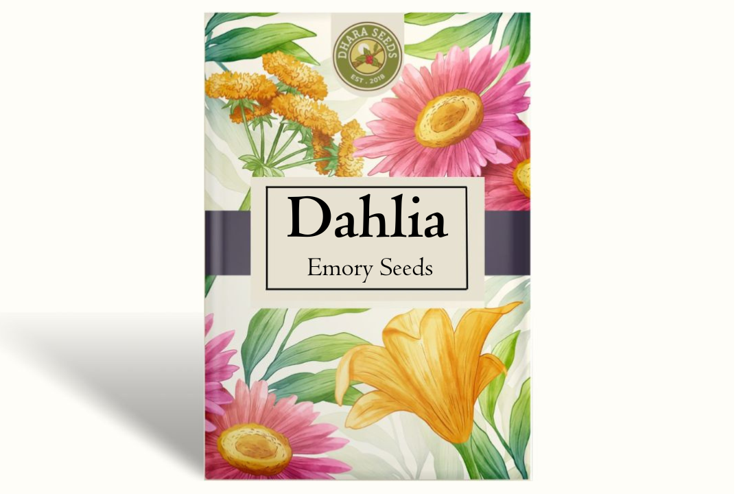 Dahlia Seeds (Dinnerplate) - Emory Paul