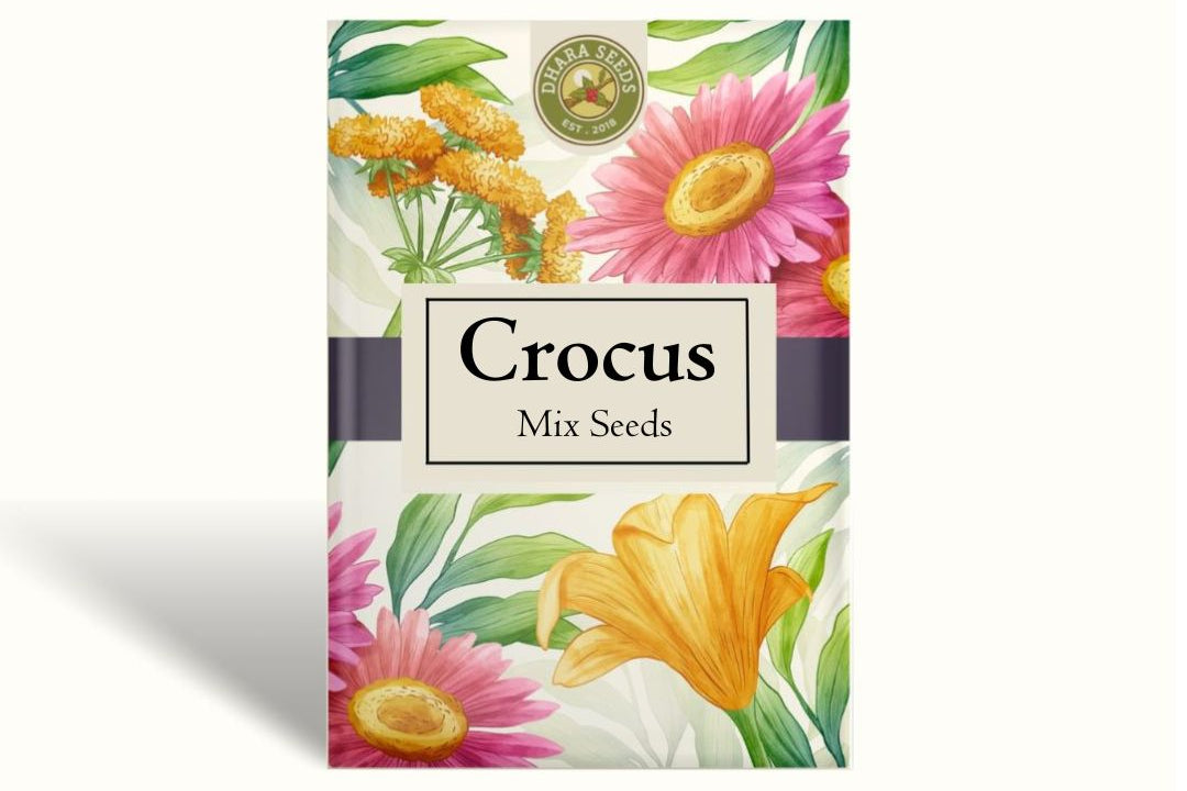 Crocus Seeds - Rainbow Mix