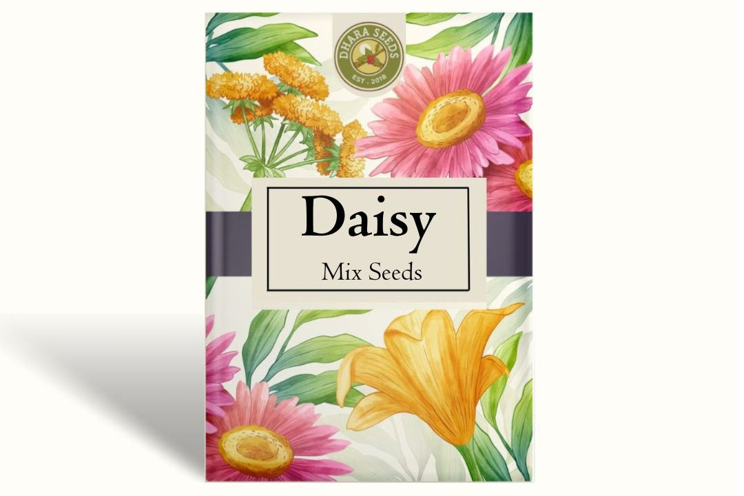 Daisy Seeds (Painted) - Dunnetti Mix