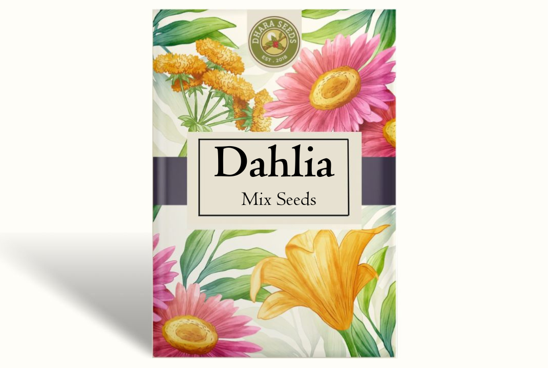 Dahlia Seeds (Dinnerplate) - Passion Mix