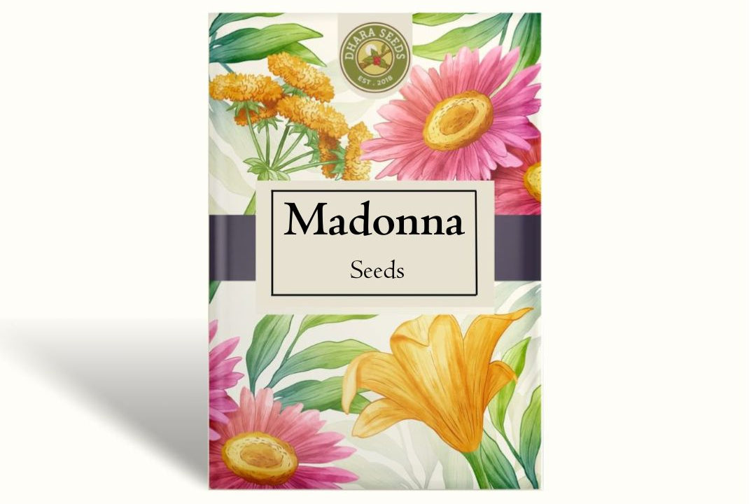 Madonna Seeds