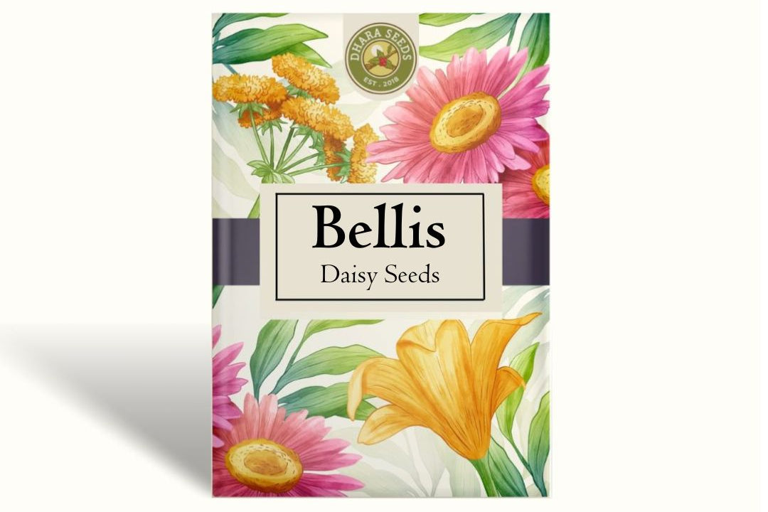 Bellis English Daisy Seeds