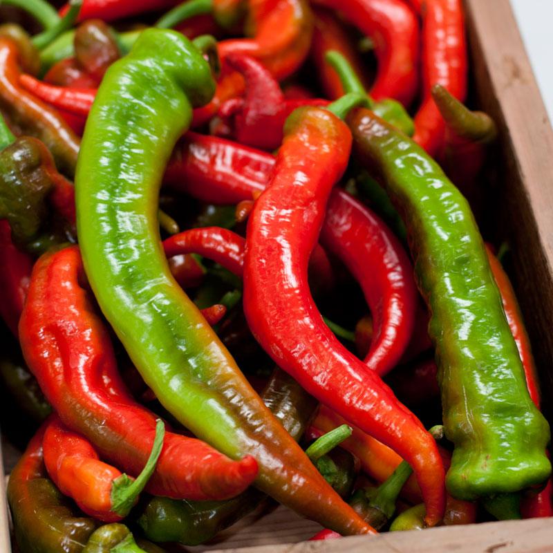 Red Nardello Seeds for Planting - heirloom & Non-GMO Seeds