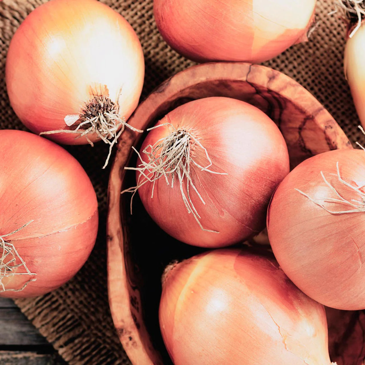 Non-GMO Ailsa Craig onion seeds high germination for gardeners