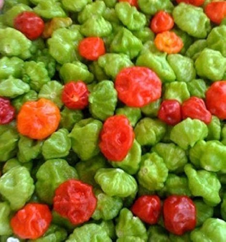 Non GMO Ajito pepper seeds for home garden growers