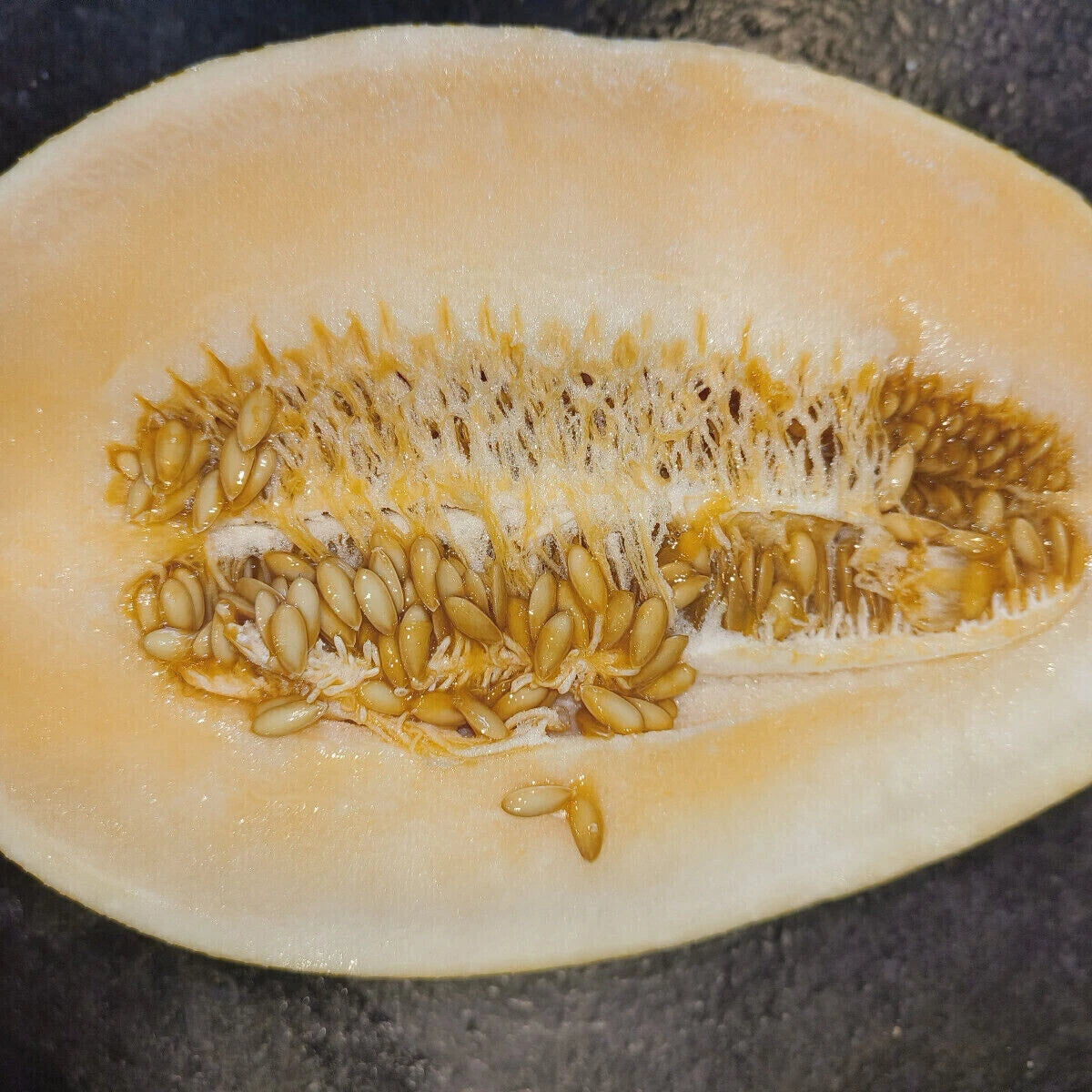 Non GMO Ananas melon seeds with high germination rate