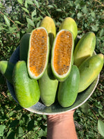 Non GMO Banana Passionfruit Seeds for Planting