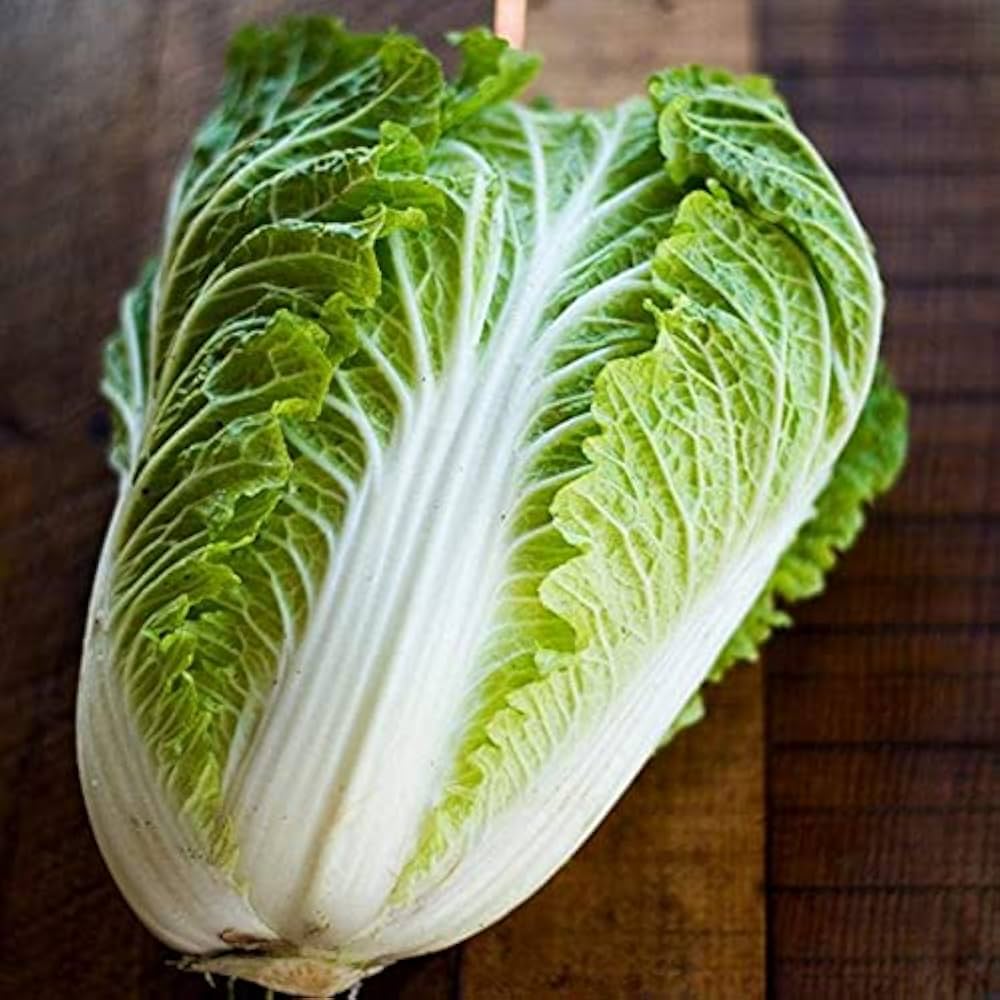 Non-GMO Chinese cabbage seeds Kaboko for fresh harvest and cooking