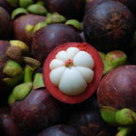 Non-GMO Mangosteen fruit seeds for planting in backyard