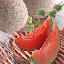 Non GMO pink cantaloupe seeds for home gardening