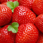 Non-GMO Red Strawberry seeds for growing at home