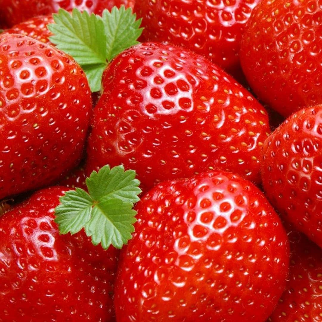 Non-GMO Red Strawberry seeds for growing at home