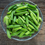 Non GMO snap pea seeds high yield cool season crop