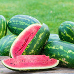 non gmo watermelon seeds for planting in warm climate gardens