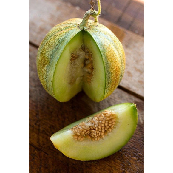 Ogden Melon (Cucumis melo) Seeds