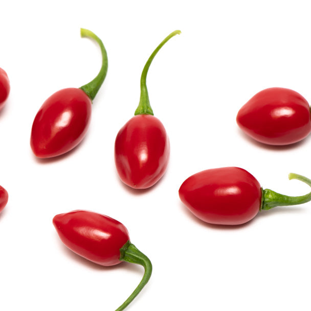 Open pollinated Aji Cochabamba chili seeds plant growth