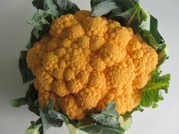 Orange Cauliflower Vegetable Seeds for Planting - 100 Pcs pcs - Dharaseeds