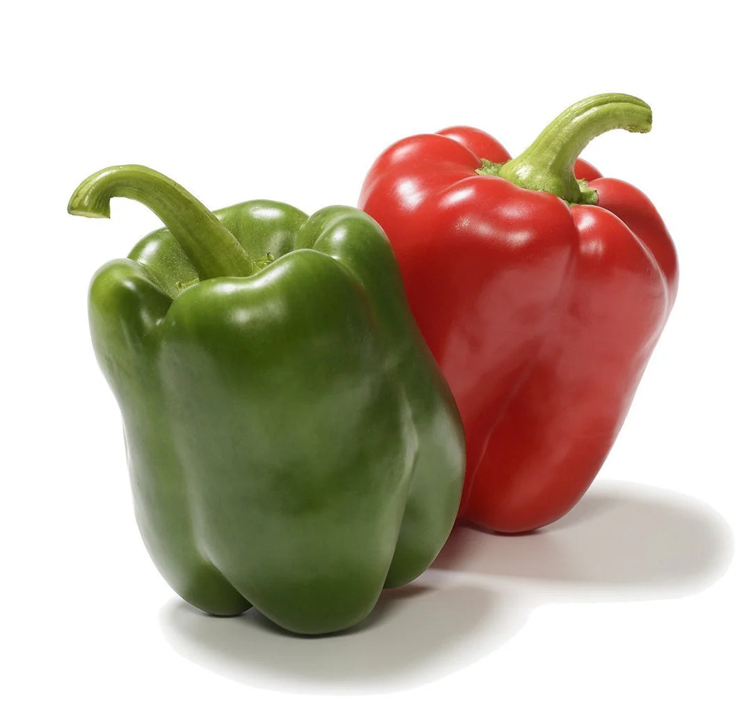 California Wonder Organic Pepper Seeds – Heirloom, Non-GMO, High Germination Organic Garden Seeds