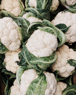 Organic cauliflower seeds for home garden planting