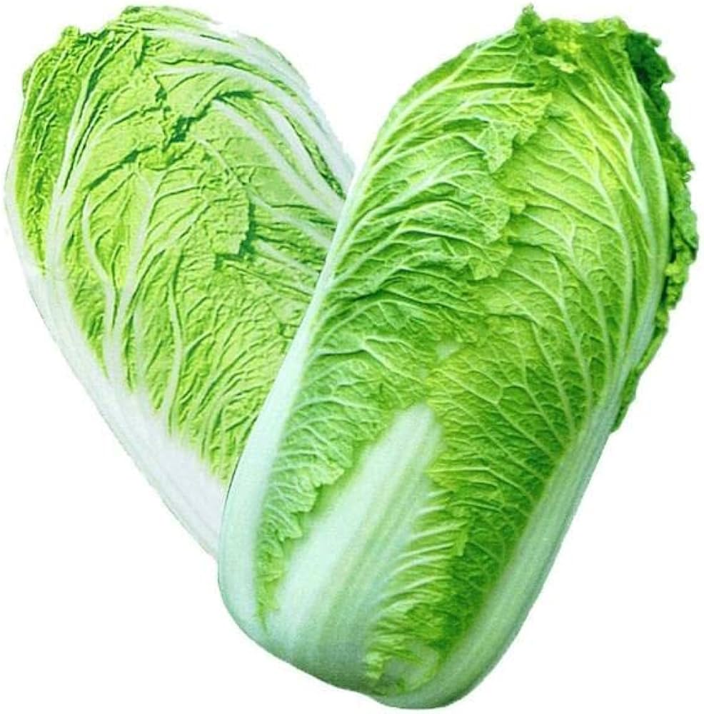 Organic Chinese cabbage seeds Kaboko easy to grow cool season crop
