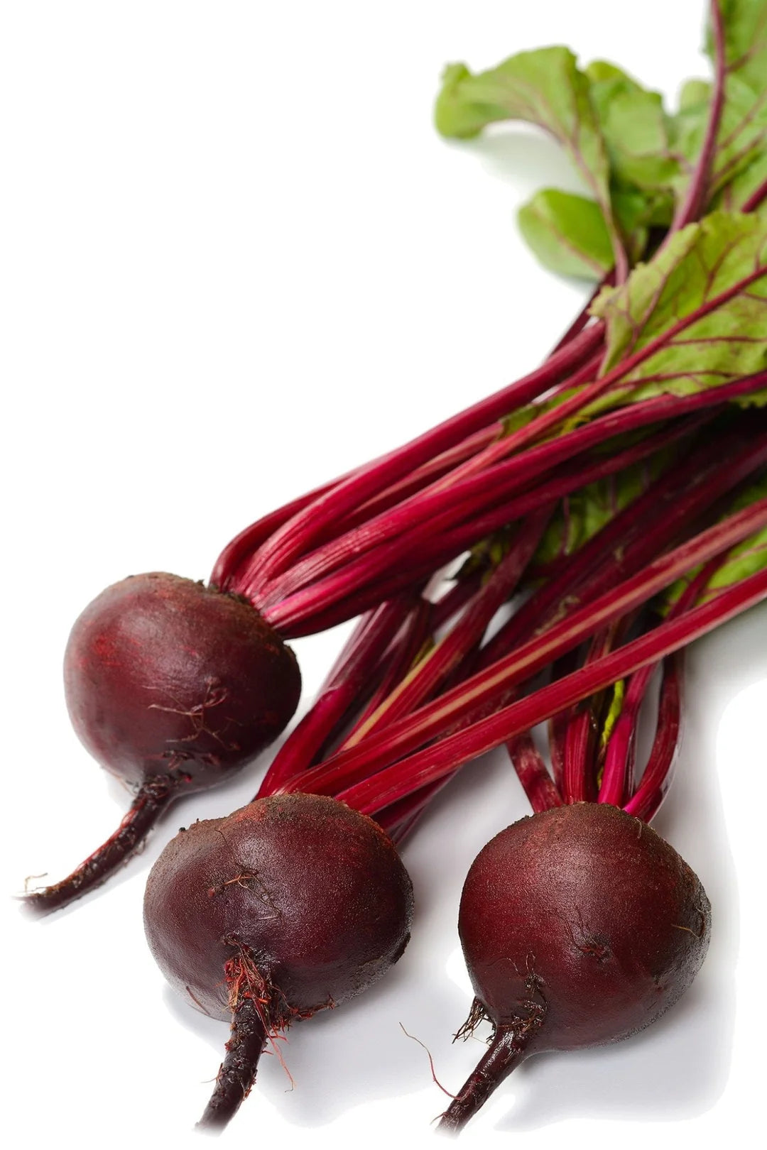 Detroit Dark Red Beet Seeds | Classic Smooth Deep-Red Heirloom Beets – Heirloom, Non-GMO, High Germination Organic Garden Seeds