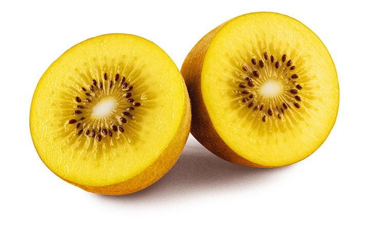 Organic golden kiwi seeds for home garden growing