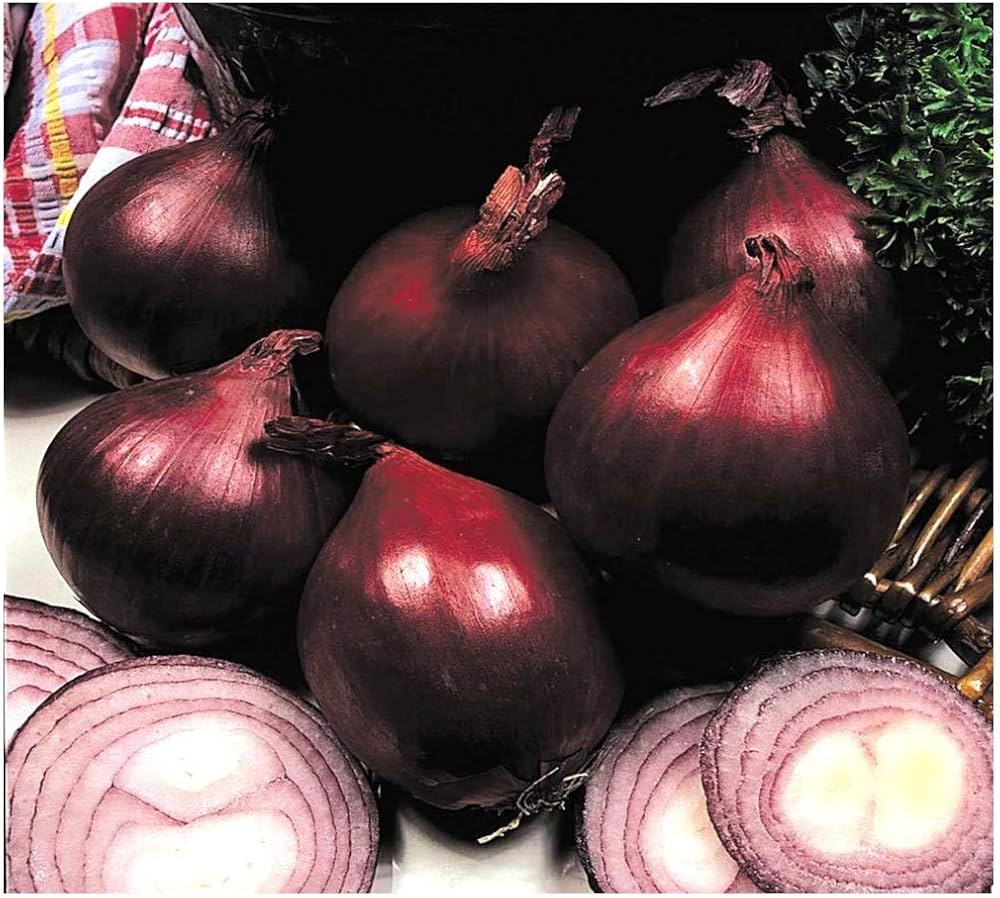Organic onion seeds Red Baron variety for home garden