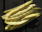 Organic pole bean seeds with strong germination rate