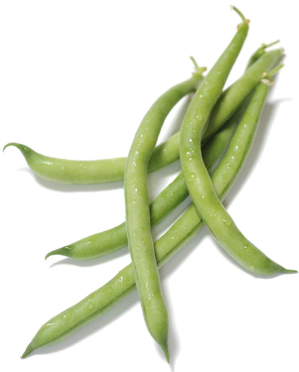 Tender Beans Seeds for Planting Phaseolus vulgaris for Home Garden and Vegetable Patch