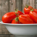 Organic hybrid tomato seeds suitable for home gardens and farms