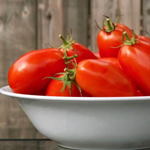 Organic hybrid tomato seeds suitable for home gardens and farms