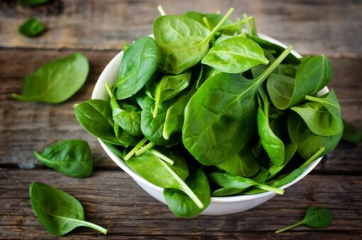 Spinach Palak heirloom non-GMO organic garden seeds