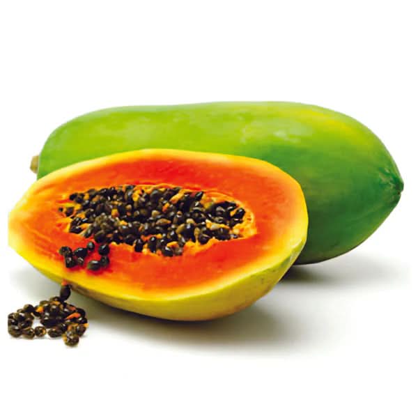 Red lady papaya Carica papaya seeds for planting
