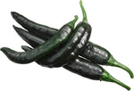 Pasilla Bajio Hot Pepper Seeds – Classic Mexican Chili with Rich Flavor - Dharaseeds