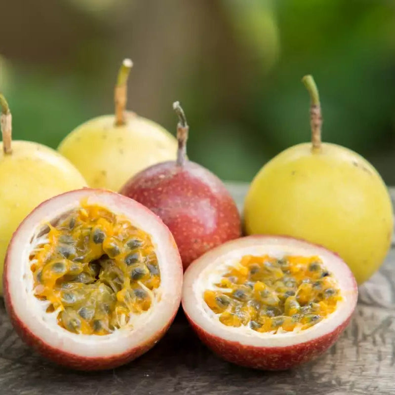 Passiflora seeds outdoor garden vine