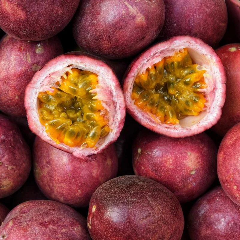 Passion Fruit Plant on Trellis Support from Heirloom Seeds