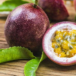 Passion Fruit plant climbing on trellis from Passiflora edulis seeds