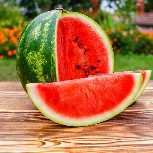 Cal Sweet Bush Watermelon Seeds ideal for patio and container gardening
