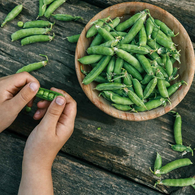 vegetables fresh high quality vegetable seeds for home gardens and farms perfect for growing healthy and nutritious crops organic vegetables premium organic vegetable seeds for sustainable farming and healthy homegrown produce suitable for all climates