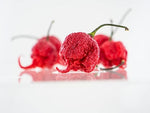 Pepper Capsicum Chinense Carolina Reaper Vegetable Seeds for Planting – Spicy Variety for Home Garden and Culinary Use - Dharaseeds