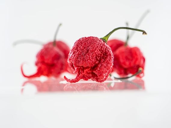 Pepper Capsicum Chinense Carolina Reaper Vegetable Seeds for Planting – Spicy Variety for Home Garden and Culinary Use - Dharaseeds